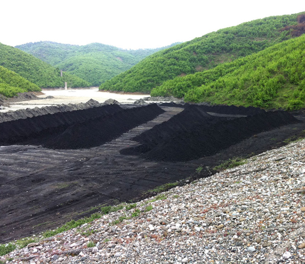 Grade 53% Iron Ore Fines from Albania